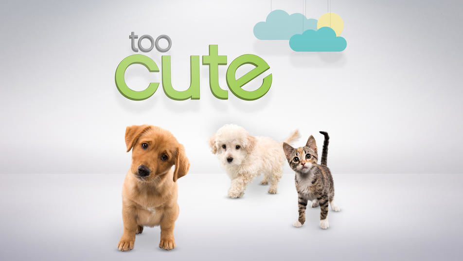 ‘Too Cute’